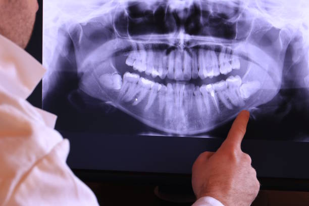 Best Emergency X-Rays and Diagnostics in Gardiner, ME